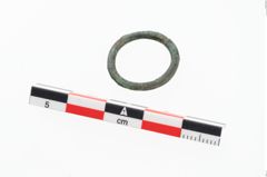 Foto von Bronzering (NHMW-PRAE-048348)